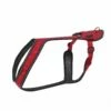 Harnais De Traction Otium Pour Chien
