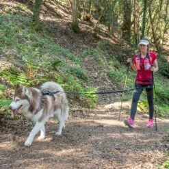 PetSafe Harnais De Traction Raidlight -Promos Wanimo Boutique harnais de traction raidlight i dog 2