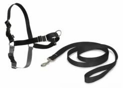 PetSafe Harnais Easy Walk™