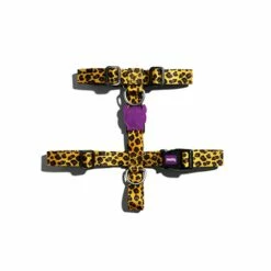 Harnais En H Honey – Jaune Léopard