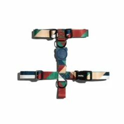 Harnais En H Pacco – Multicolore