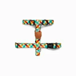 Harnais En H Phantom – Multicolore