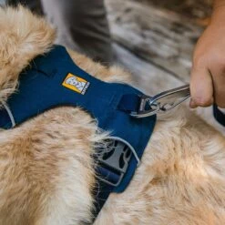 Ruffwear Harnais Front Range - Bleu Nuit 11 Ruffwear Harnais Front Range - Bleu Nuit -Promos Wanimo Boutique harnais front range bleu nuit ruffwear 4