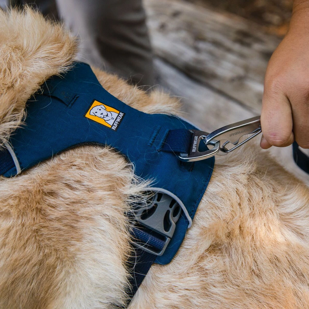 Ruffwear Harnais Front Range - Bleu Nuit 5 Ruffwear Harnais Front Range - Bleu Nuit – Image 5