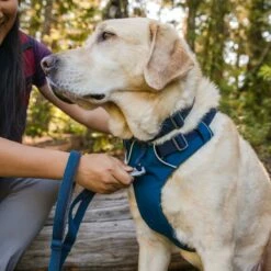 Ruffwear Harnais Front Range - Bleu Nuit 12 Ruffwear Harnais Front Range - Bleu Nuit -Promos Wanimo Boutique harnais front range bleu nuit ruffwear 5