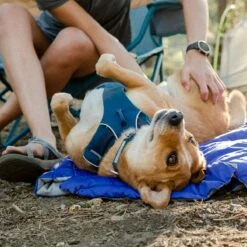 Ruffwear Harnais Front Range - Bleu Nuit 13 Ruffwear Harnais Front Range - Bleu Nuit -Promos Wanimo Boutique harnais front range bleu nuit ruffwear 6