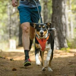 Ruffwear Harnais Front Range - Orange -Promos Wanimo Boutique harnais front range orange ruffwear 7