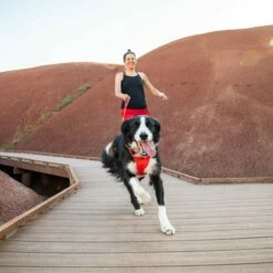 Ruffwear Harnais Front Range - Rouge -Promos Wanimo Boutique harnais front range rouge ruffwear 2