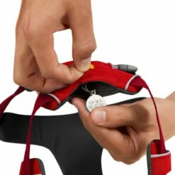 Ruffwear Harnais Front Range - Rouge -Promos Wanimo Boutique harnais front range rouge ruffwear 4