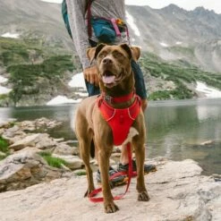 Ruffwear Harnais Front Range - Rouge -Promos Wanimo Boutique harnais front range rouge ruffwear 7