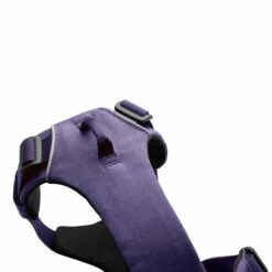 Ruffwear Harnais Front Range - Violet -Promos Wanimo Boutique harnais front range violet ruffwear 4