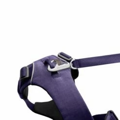 Ruffwear Harnais Front Range - Violet -Promos Wanimo Boutique harnais front range violet ruffwear 5
