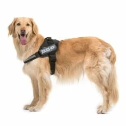 Julius K9 Harnais IDC Power Noir -Promos Wanimo Boutique harnais idc power noir julius k 1 3