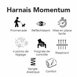 Harnais Momentum Noir -Promos Wanimo Boutique harnais momentum noir kyflie 2