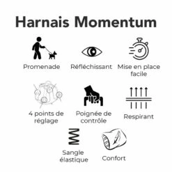 Harnais Momentum Rouge -Promos Wanimo Boutique harnais momentum rouge kyflie 4