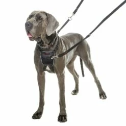 Harnais Non-Pull Halti -Promos Wanimo Boutique harnais non pull halti 1 3