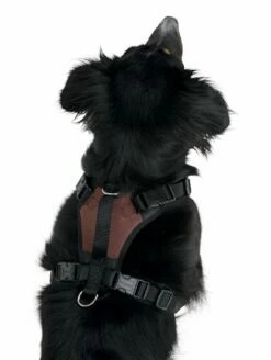 KERBL Harnais Réfléchissant Pulsive 8 KERBL Harnais Réfléchissant Pulsive -Promos Wanimo Boutique harnais reflechissant pulsive kerbl 3