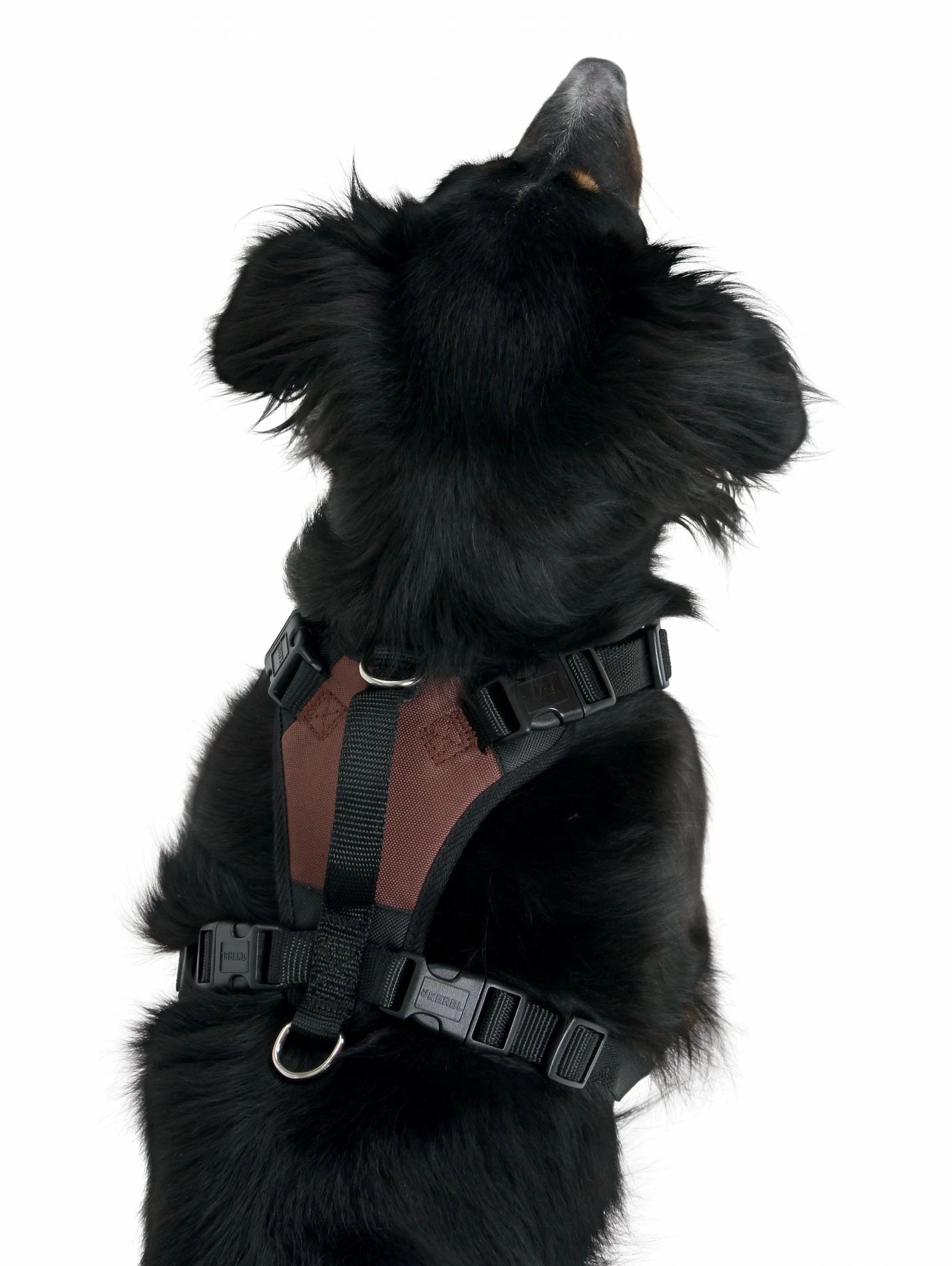 KERBL Harnais Réfléchissant Pulsive 4 KERBL Harnais Réfléchissant Pulsive – Image 4