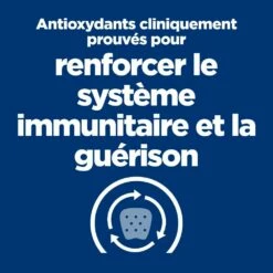 HILL'S Prescription Diet A/d Restorative Care En Boîtes Au Poulet - Pâtée Pour Chien Et Chat 10 HILL'S Prescription Diet A/d Restorative Care En Boîtes Au Poulet - Pâtée Pour Chien Et Chat -Promos Wanimo Boutique hill s prescription diet a d restorative care en boites au poulet patee pour chien et chat 1 2