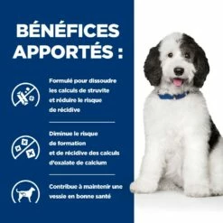 HILL'S Prescription Diet C/d Urinary Care Multicare Au Poulet - Croquettes Pour Chien -Promos Wanimo Boutique hill s prescription diet c d urinary care multicare au poulet croquettes pour chien 1 3