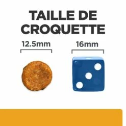 HILL'S Prescription Diet C/d Urinary Care Multicare Au Poulet - Croquettes Pour Chien -Promos Wanimo Boutique hill s prescription diet c d urinary care multicare au poulet croquettes pour chien 1 6
