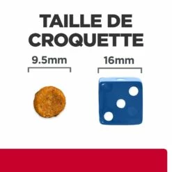 HILL'S Prescription Diet C/d Urinary Care Multicare Stress Au Poulet - Croquettes Pour Chat -Promos Wanimo Boutique hill s prescription diet c d urinary care multicare stress au poulet croquettes pour chat 1 6