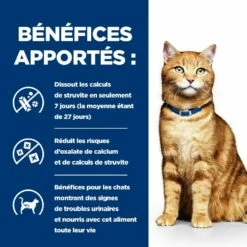 HILL'S Prescription Diet C/d Urinary Care Mutlicare Au Poulet - Croquettes Pour Chat -Promos Wanimo Boutique hill s prescription diet c d urinary care mutlicare au poulet croquettes pour chat 1 6