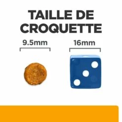 HILL'S Prescription Diet C/d Urinary Care Mutlicare Au Poulet - Croquettes Pour Chat -Promos Wanimo Boutique hill s prescription diet c d urinary care mutlicare au poulet croquettes pour chat 1 8