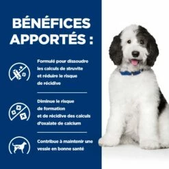 HILL'S Prescription Diet C/d Urinary Multicare En Boîtes Au Poulet – Pâtée Pour Chien 11 HILL'S Prescription Diet C/d Urinary Multicare En Boîtes Au Poulet – Pâtée Pour Chien -Promos Wanimo Boutique hill s prescription diet c d urinary multicare en boites au poulet patee pour chien 1 3