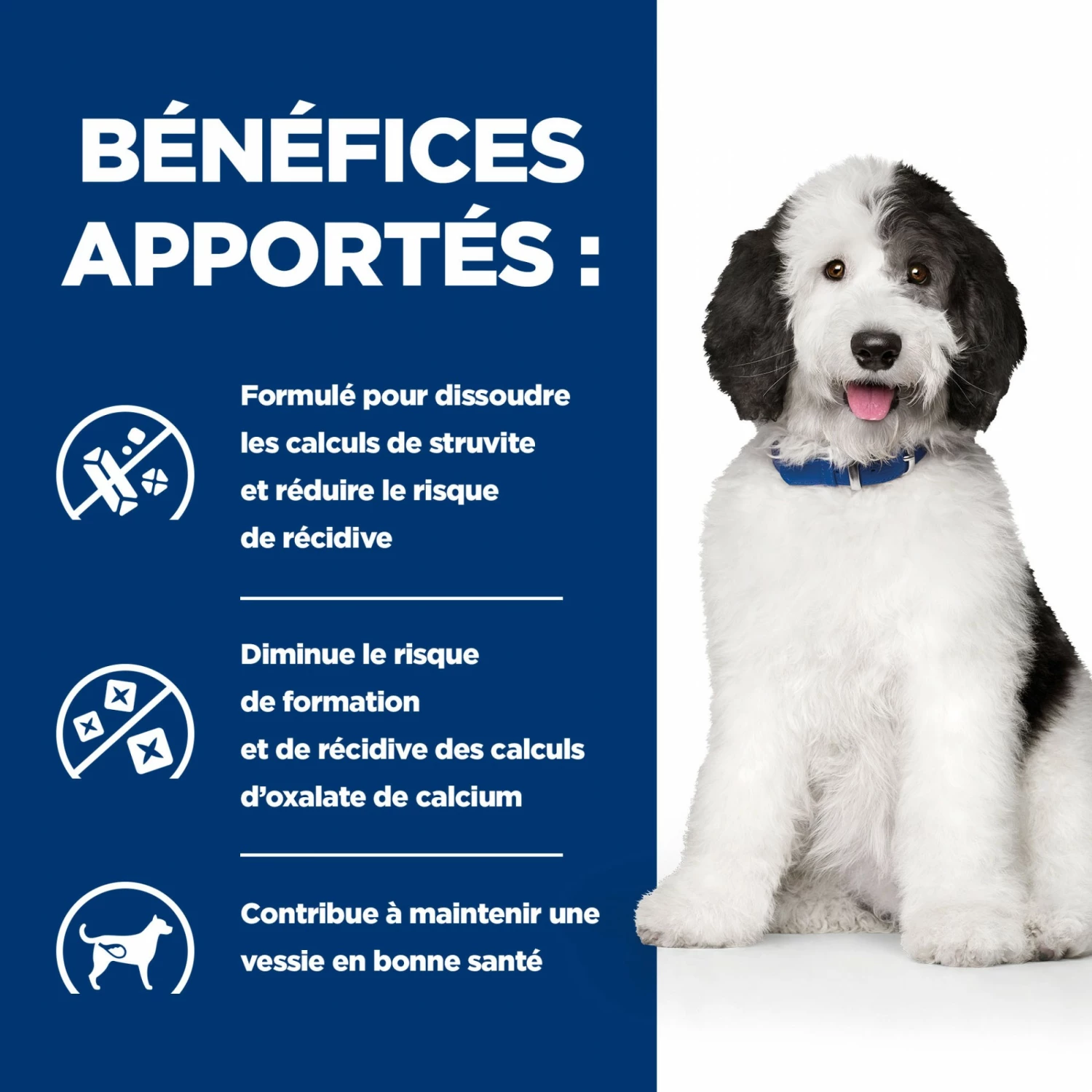 HILL'S Prescription Diet C/d Urinary Multicare En Boîtes Au Poulet – Pâtée Pour Chien 4 HILL'S Prescription Diet C/d Urinary Multicare En Boîtes Au Poulet – Pâtée Pour Chien – Image 4