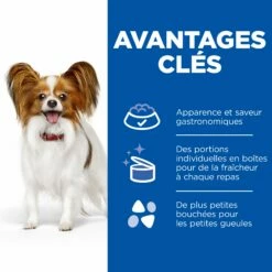 HILL'S Prescription Diet C/d Urinary Multicare En Mijotés Au Poulet - Pâtée Pour Chien -Promos Wanimo Boutique hill s prescription diet c d urinary multicare en mijotes au poulet patee pour chien canine 1 11