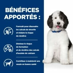 HILL'S Prescription Diet C/d Urinary Multicare En Mijotés Au Poulet - Pâtée Pour Chien -Promos Wanimo Boutique hill s prescription diet c d urinary multicare en mijotes au poulet patee pour chien canine 1 4