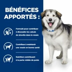HILL'S Prescription Diet C/d Urinary Multicare + Metabolic - Croquettes Pour Chien -Promos Wanimo Boutique hill s prescription diet c d urinary multicare metabolic croquettes pour chien 1 4