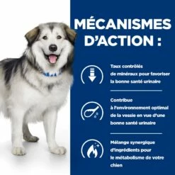 HILL'S Prescription Diet C/d Urinary Multicare + Metabolic - Croquettes Pour Chien -Promos Wanimo Boutique hill s prescription diet c d urinary multicare metabolic croquettes pour chien 1 5