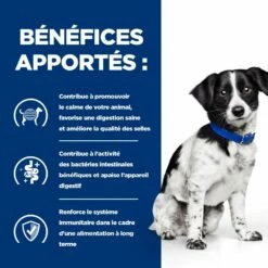 HILL'S Prescription Diet Canine I/d Digestive Care Stress Mini Au Poulet - Croquettes Pour Chien -Promos Wanimo Boutique hill s prescription diet canine i d digestive care stress mini au poulet croquettes pour chien 1 4