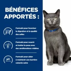 HILL'S Prescription Diet D/d Food Sensitivities Au Canard - Croquettes Pour Chat -Promos Wanimo Boutique hill s prescription diet d d food sensitivities au canard croquettes pour chat 1 3