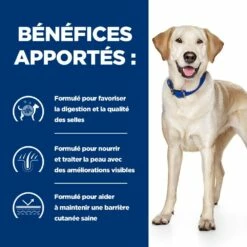 HILL'S Prescription Diet D/d Food Sensitivities Au Canard - Croquettes Pour Chien -Promos Wanimo Boutique hill s prescription diet d d food sensitivities au canard croquettes pour chien 1 3