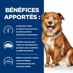 HILL'S Prescription Diet Derm Complete - Croquettes Pour Chien -Promos Wanimo Boutique hill s prescription diet derm complete croquettes pour chien 1 4