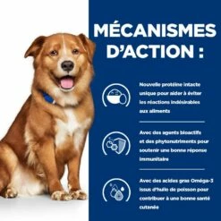 HILL'S Prescription Diet Derm Complete - Croquettes Pour Chien -Promos Wanimo Boutique hill s prescription diet derm complete croquettes pour chien 1 5