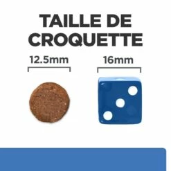 HILL'S Prescription Diet Derm Complete - Croquettes Pour Chien -Promos Wanimo Boutique hill s prescription diet derm complete croquettes pour chien 1 6