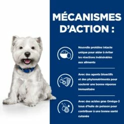 HILL'S Prescription Diet Derm Complete Mini - Croquettes Pour Chien -Promos Wanimo Boutique hill s prescription diet derm complete mini croquettes pour chien 1 4