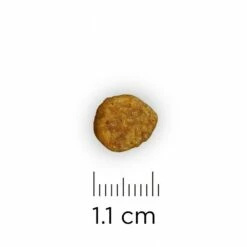 HILL'S Prescription Diet Derm Defense Au Poulet - Croquettes Pour Chien -Promos Wanimo Boutique hill s prescription diet derm defense au poulet croquettes pour chien 1 10