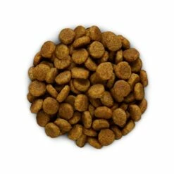 HILL'S Prescription Diet Derm Defense Au Poulet - Croquettes Pour Chien -Promos Wanimo Boutique hill s prescription diet derm defense au poulet croquettes pour chien 1 11