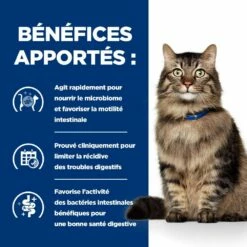 HILL'S Prescription Diet Gastrointestinal Biome En Mijotés Au Poulet - Pâtée Pour Chat -Promos Wanimo Boutique hill s prescription diet gastrointestinal biome en mijotes au poulet patee pour chat 1 4