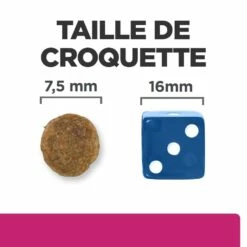 HILL'S Prescription Diet Gastrointestinal Biome Mini Au Poulet - Croquettes Pour Chien -Promos Wanimo Boutique hill s prescription diet gastrointestinal biome mini au poulet croquettes pour chien 1 5