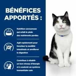 HILL'S Prescription Diet I/d Digestive Care Au Poulet - Croquettes Pour Chat -Promos Wanimo Boutique hill s prescription diet i d digestive care au poulet croquettes pour chat 1 4