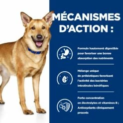 HILL'S Prescription Diet I/d Digestive Care Au Poulet - Croquettes Pour Chien 15 HILL'S Prescription Diet I/d Digestive Care Au Poulet - Croquettes Pour Chien -Promos Wanimo Boutique hill s prescription diet i d digestive care au poulet croquettes pour chien 1 5