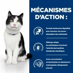 HILL'S Prescription Diet I/d Digestive Care En Boîtes Au Poulet - Pâtée Pour Chat -Promos Wanimo Boutique hill s prescription diet i d digestive care en boites au poulet patee pour chat 1 5