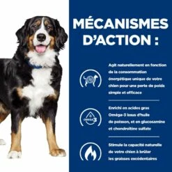 HILL'S Prescription Diet J/d Metabolic + Mobility Au Poulet - Croquettes Pour Chien -Promos Wanimo Boutique hill s prescription diet j d metabolic mobility au poulet croquettes pour chien 1 5