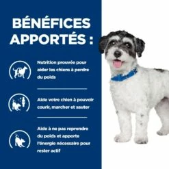 HILL'S Prescription Diet J/d Metabolic + Mobility Mini Au Poulet - Croquettes Pour Chien -Promos Wanimo Boutique hill s prescription diet j d metabolic mobility mini au poulet croquettes pour chien 1 2